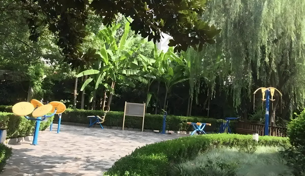 深户申报网址_董璇失去的口碑，竟然被自己9岁的女儿挽回了 闹中然放取静到全心、口碑